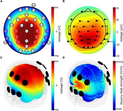 Challenges of P300 Modulation Using Transcranial Alternating Current Stimulation (tACS)